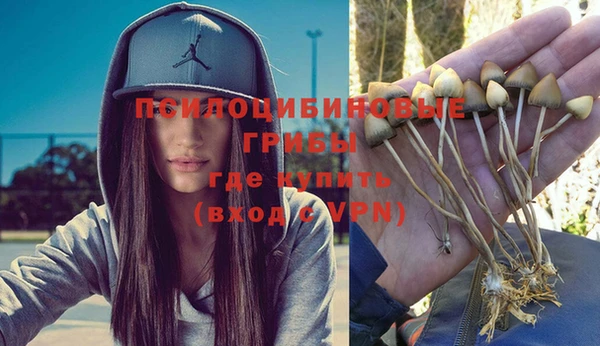 экстази Вяземский